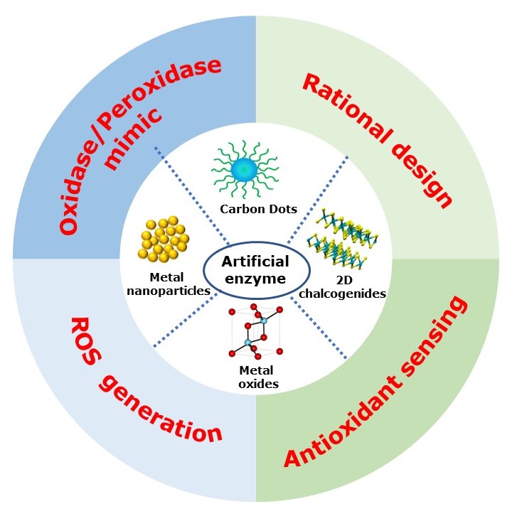 Csir National Chemical Laboratory Faculty